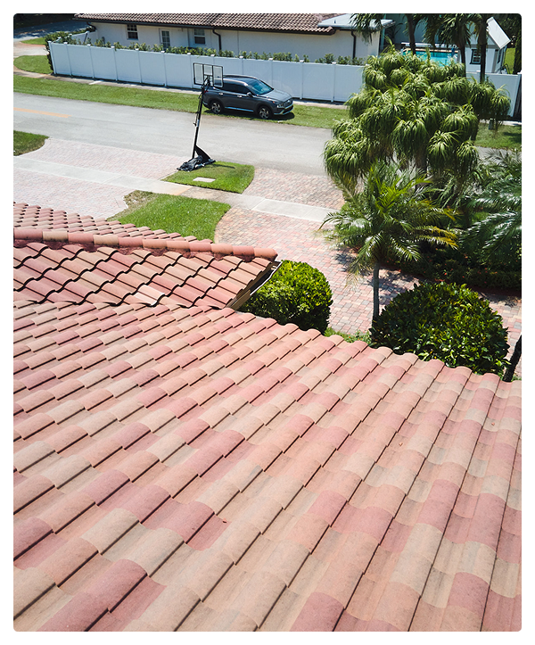 A view from a tiled roofing in Miami looks down at a driveway, a basketball hoop, a car parked by the street, green bushes, palm trees, and a white fence on a sunny day.