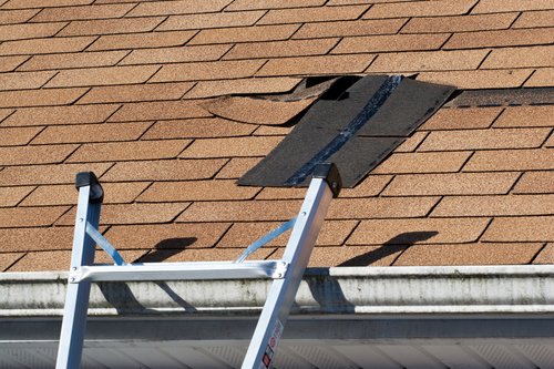 A damaged section of residential roofing shingles is visible near the top of a ladder leaning against a house, with some shingles lifted and out of place above the gutter.